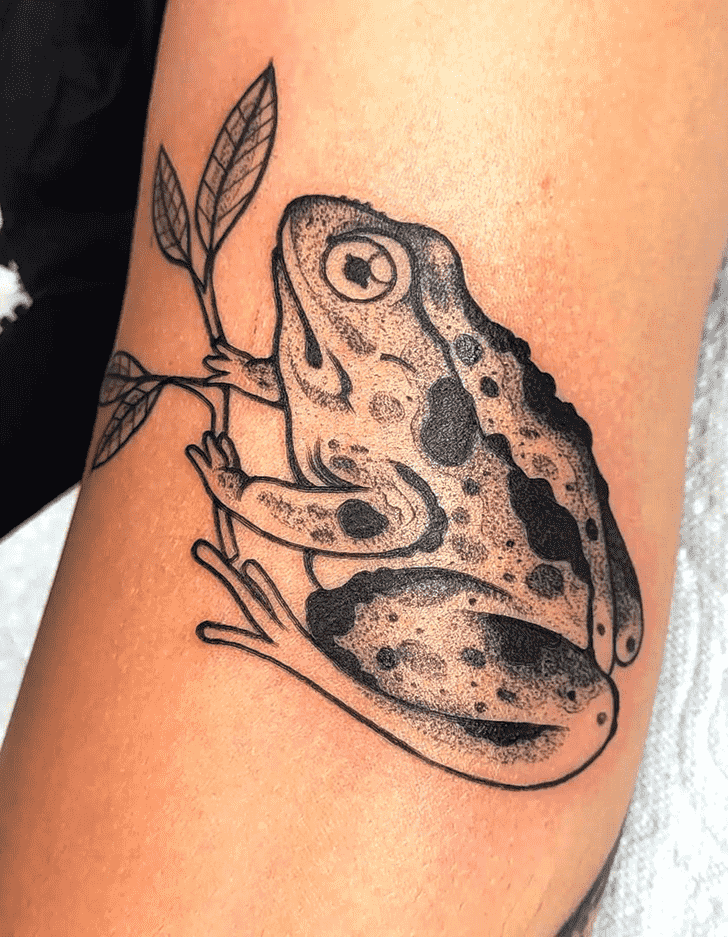 5 Unique Frog And Toad Tattoo Ideas