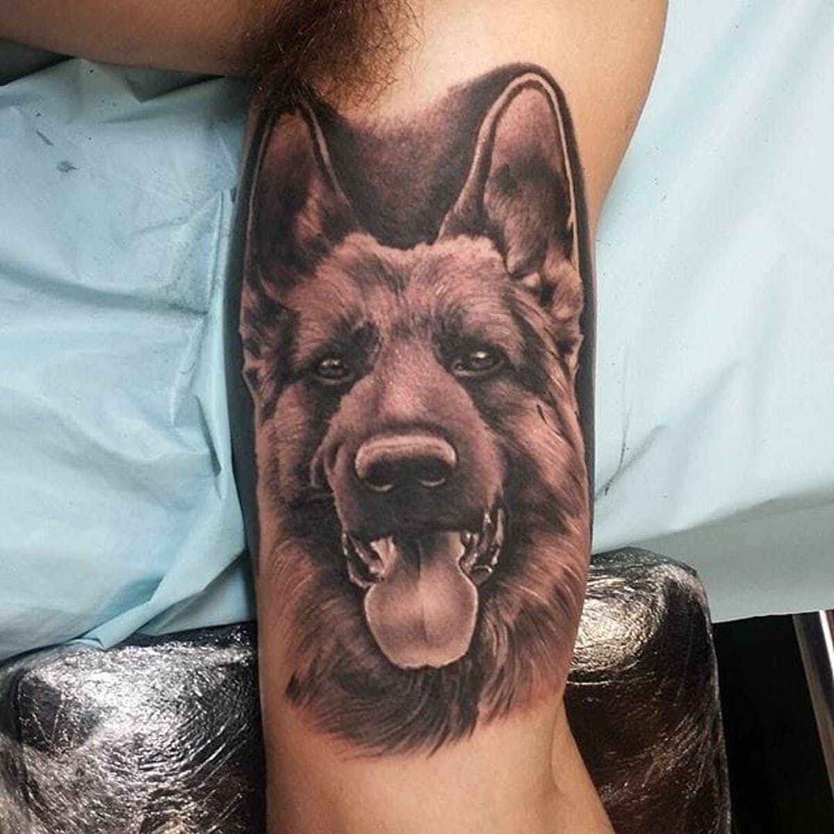 5 Stunning German Shepherd Tattoo Designs