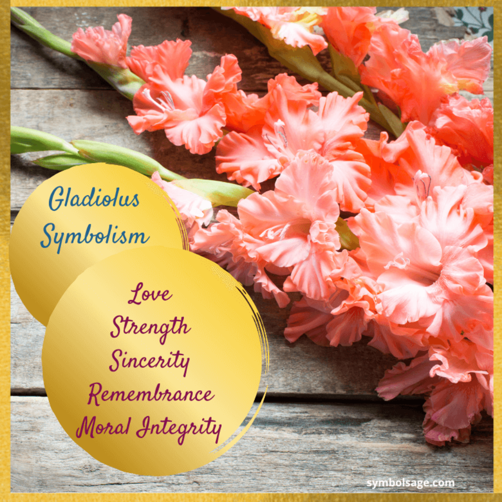 Gladiolus Flower Meaning Through Myths And Symbolism Artofit