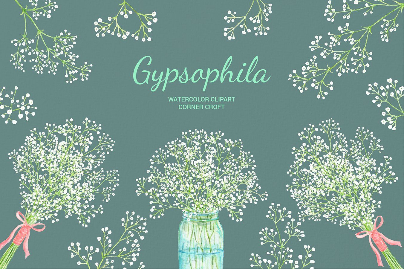 Gypsophila Baby S Breath Watercolour Illustration By Mooonhannah