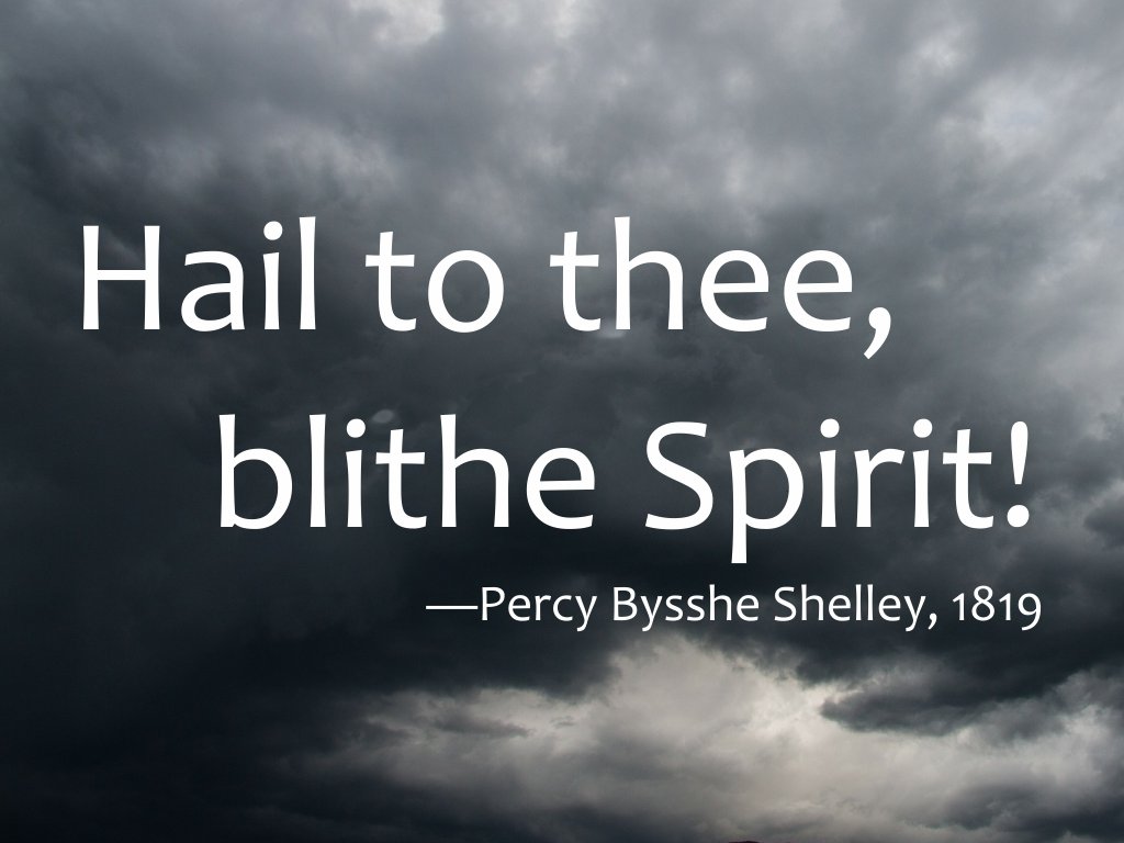 Hail To Thee Blithe Spirit Like A Poet Hidden In The Light Of Thought Singing Hymns