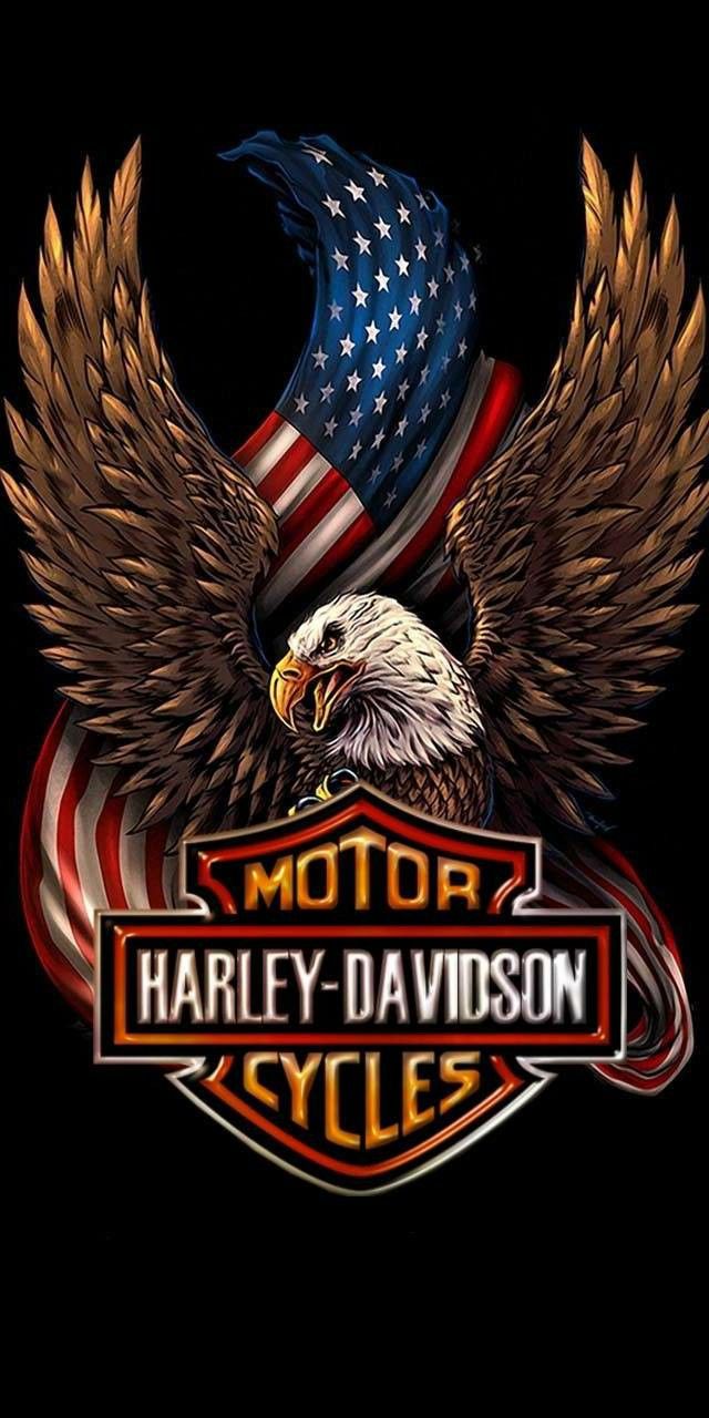 Harley Davidson With Bald Eagle The Force Gallery