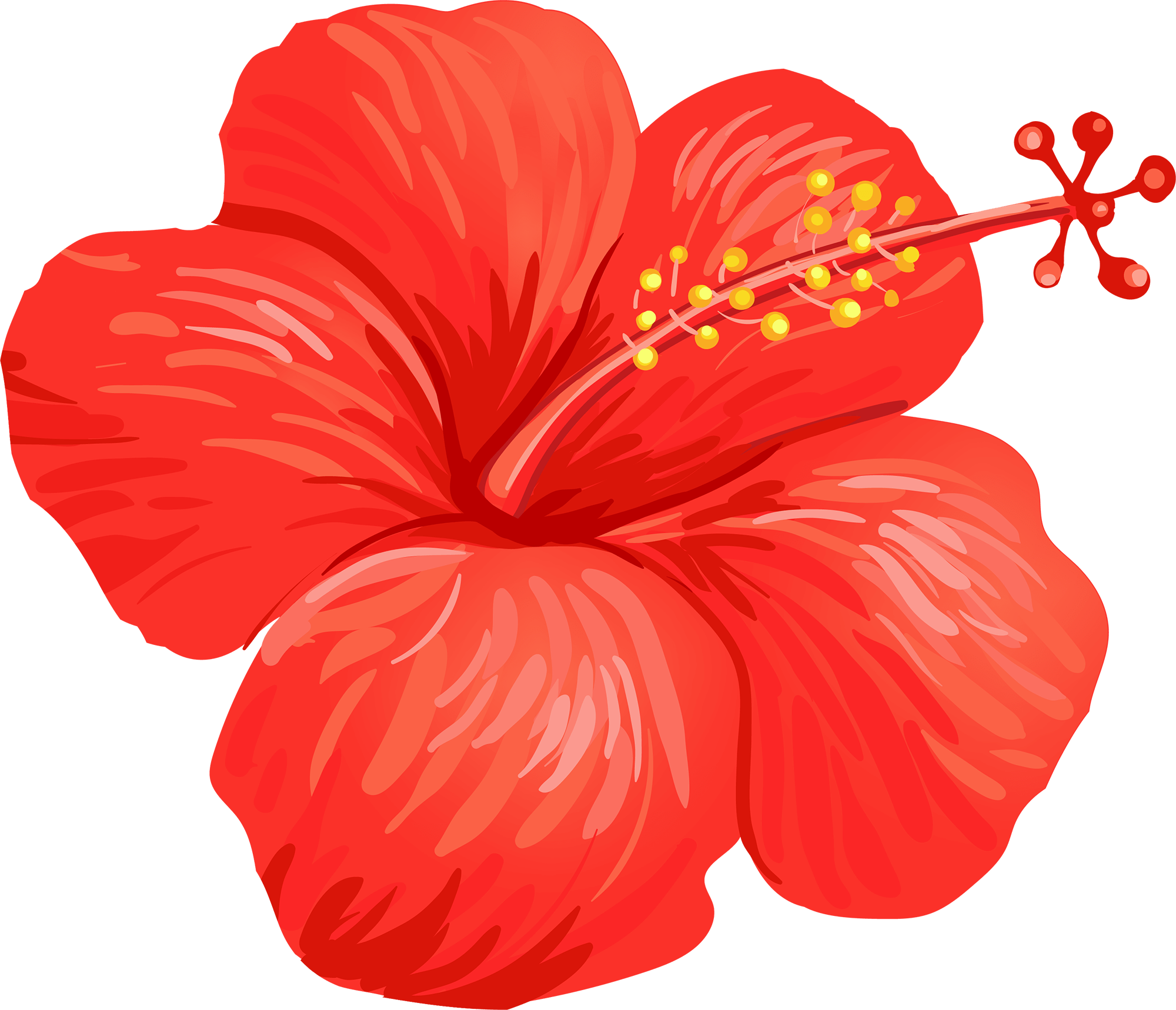 Hawaiian Flower Hibiscus Clip Art Turquoise Flower Cliparts Png