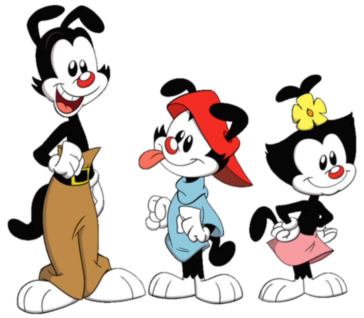 Here Are The Three Warner Lunatics Yakko Wakko And Dot This Is