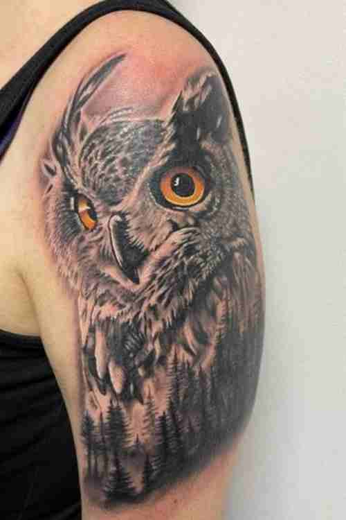 Hoo Hoo Tattoo Owl Tattoo Guide With Meanings 50 Examples