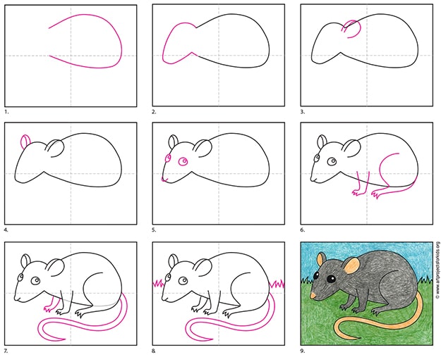 How To Draw A Rat Step By Step Drawings Tutorials