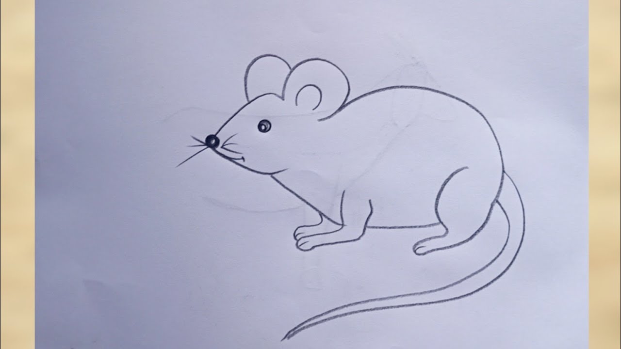 How To Draw A Rat Step By Step