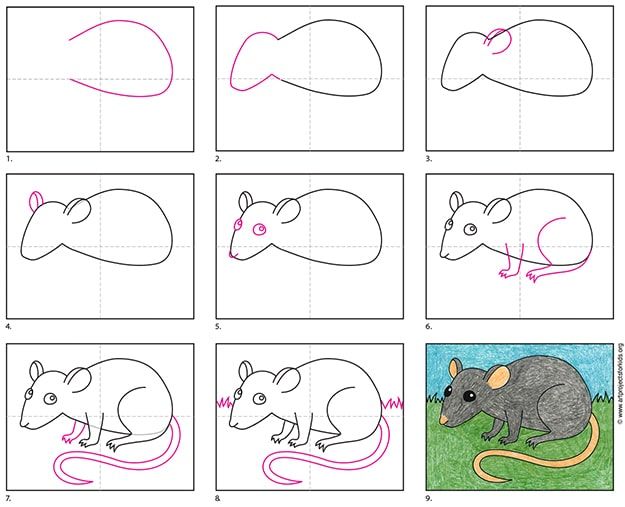 How To Draw Rats At How To Draw