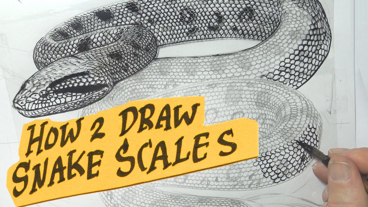 How To Draw Snake Scales Tattoo Snakes Zbrush Slytherin Vfx