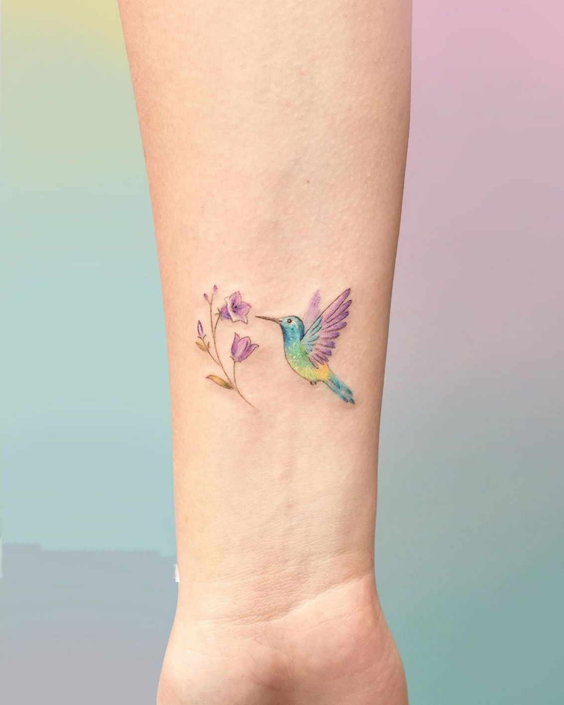 Humming Bird Tattoo Hummingbird Tattoo Black Hummingbird Tattoo Flower Tattoo Arm