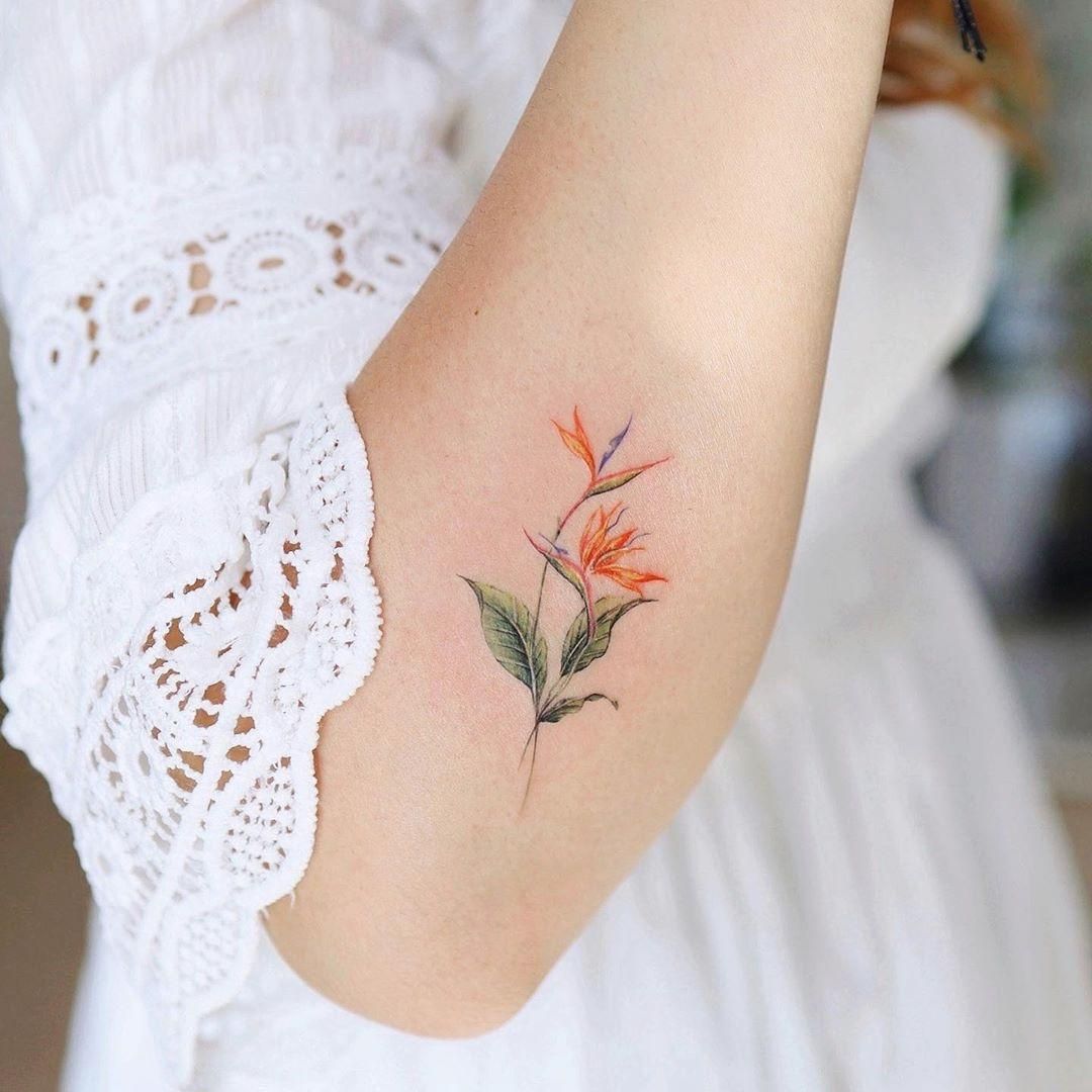 Ideas For Bird Of Paradise Flower Tattoos Bird Of Paradise Tattoo