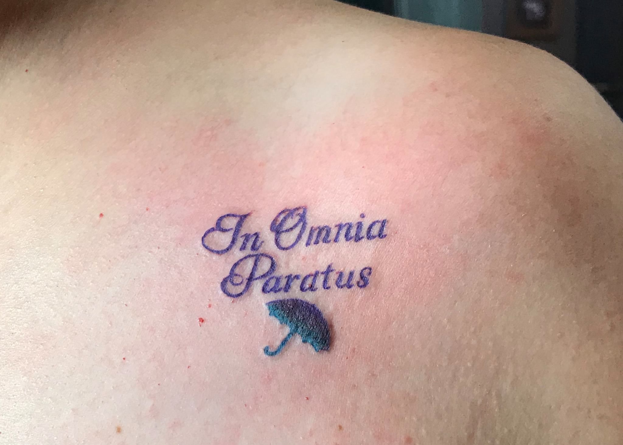 7 Symbolisms Behind an In Omnia Paratus Tattoo