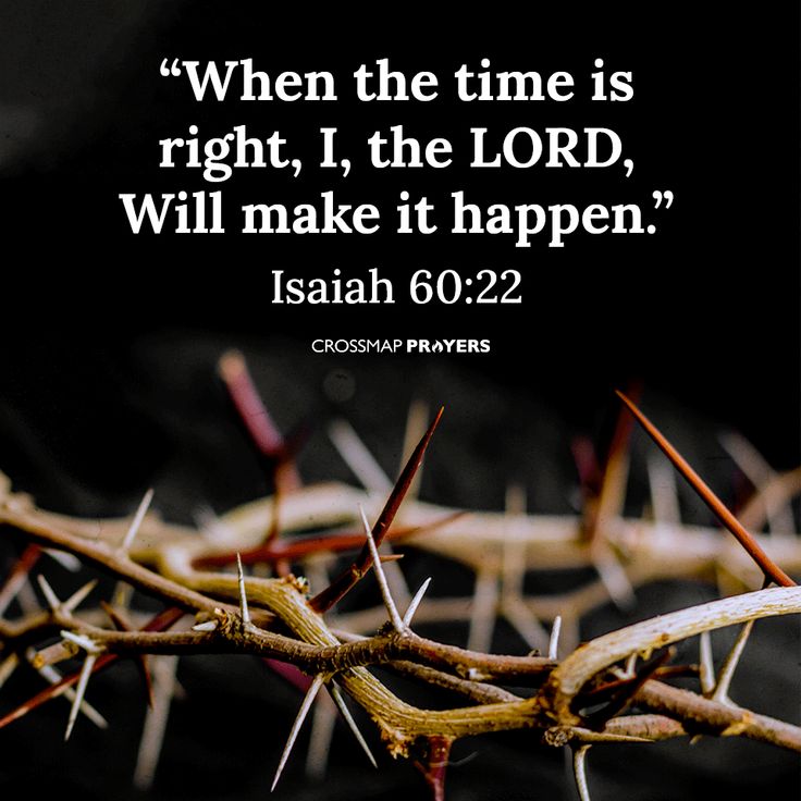 Isaiah 60 22 Bible Verse Biblical Quote Lord Will Make It Happen Bible