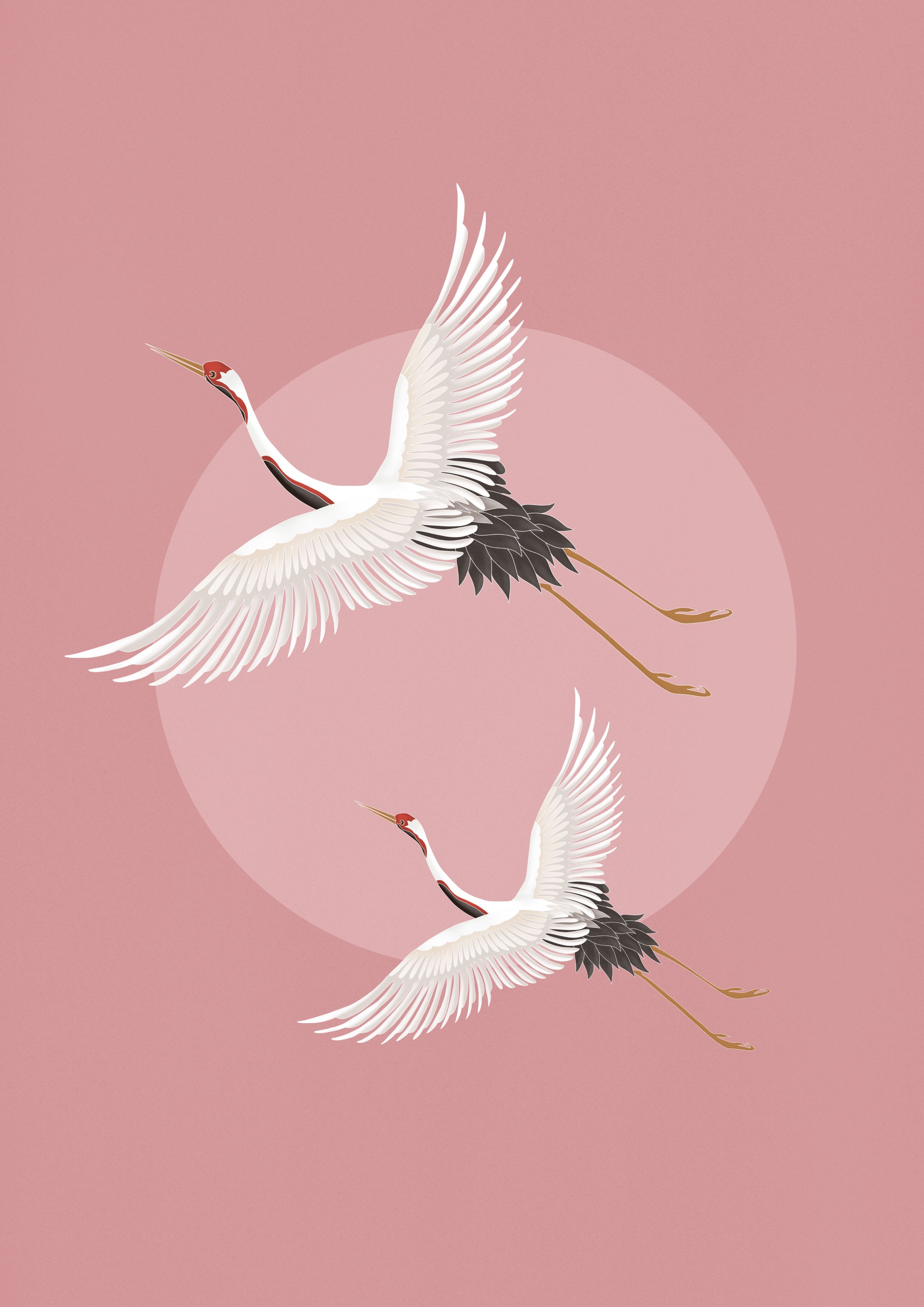 Japanese Crane Wall Art Print And Poster Premium Image By Rawpixel