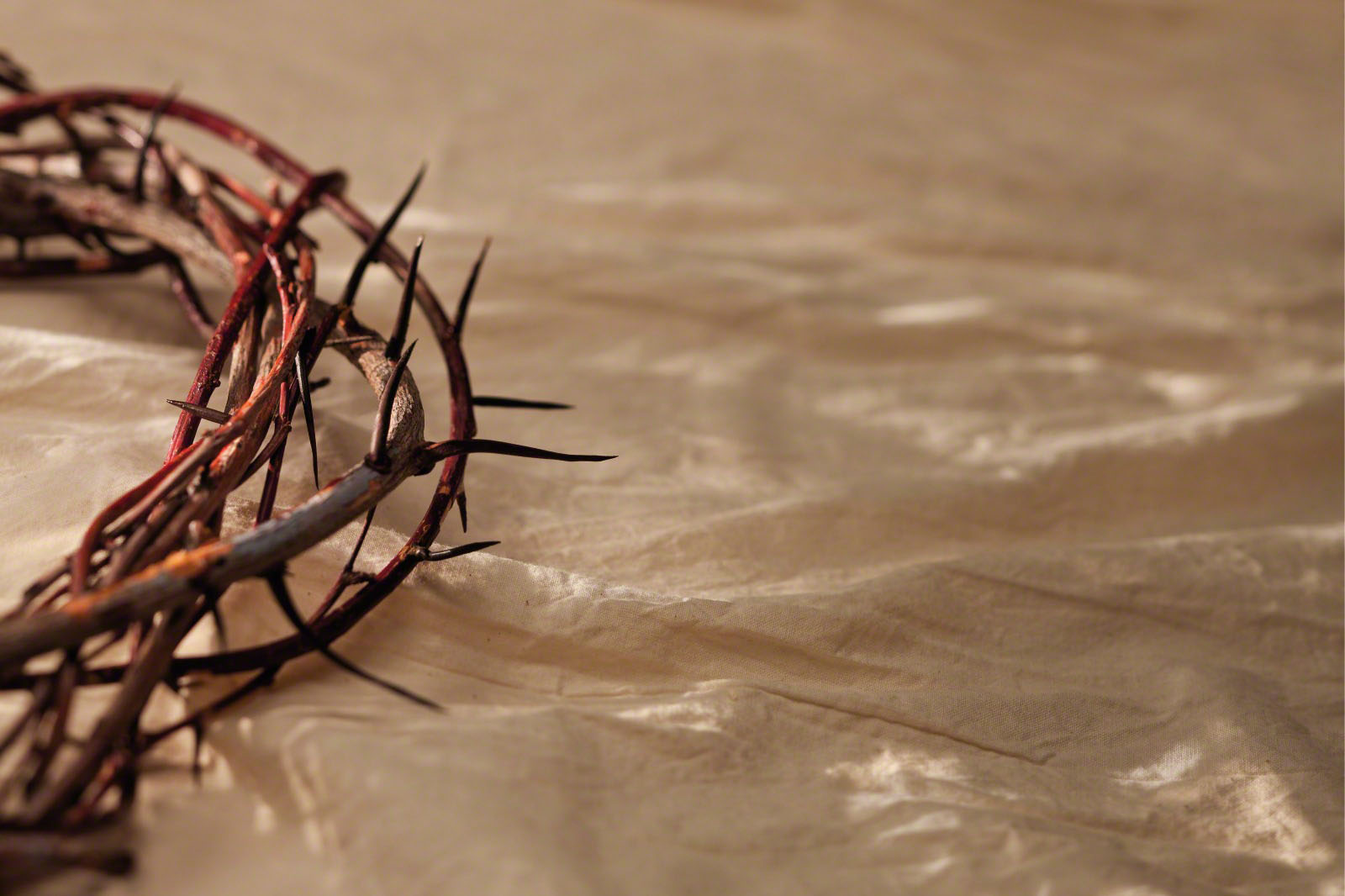 Jesus Christ S Crown Of Thorns Meaning And Importance