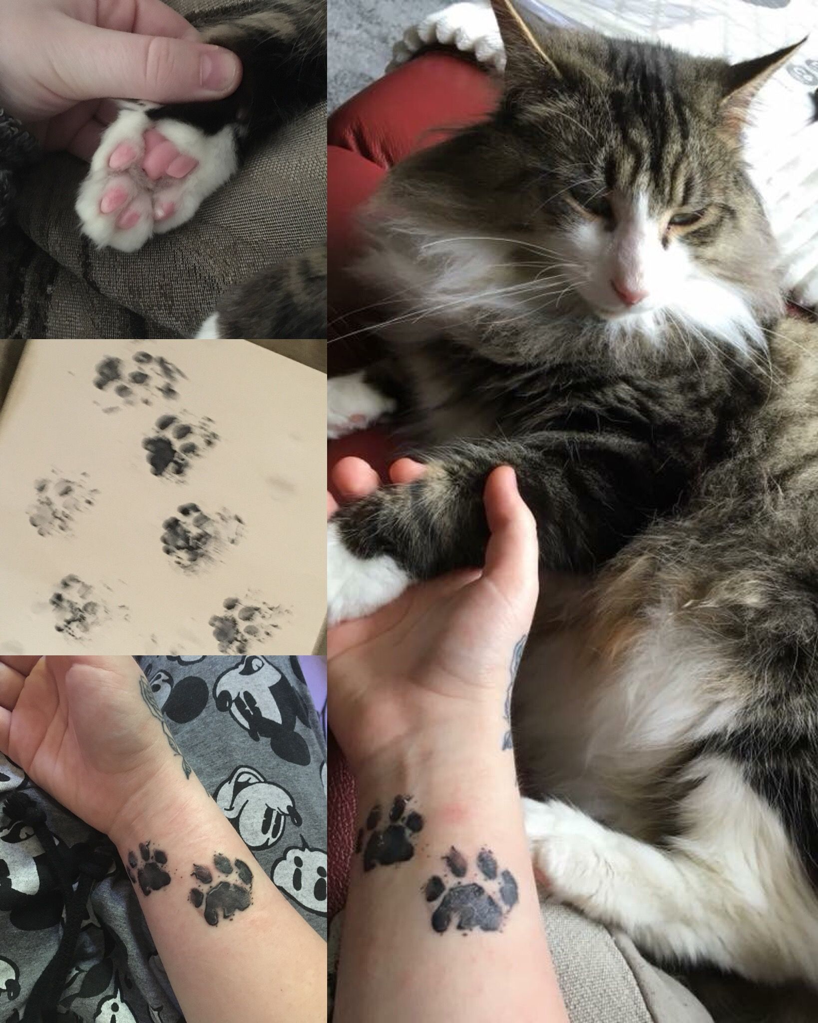 5 Reasons to Get a Kitty Cat Paw Print Tattoo