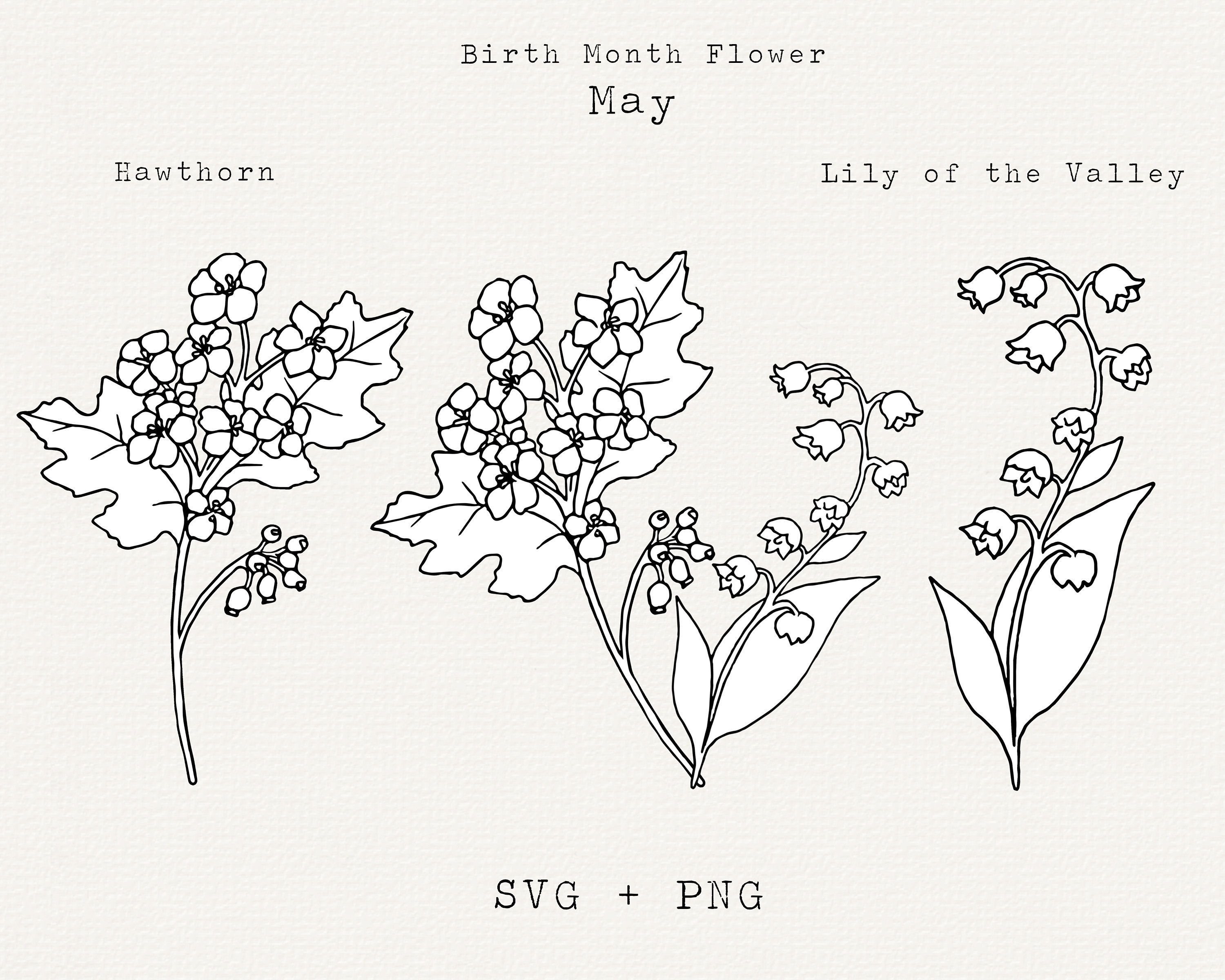 Lily Of The Valley Svg Hawthorn Svg May Birth Month Flowers Etsy India