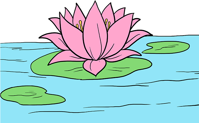 Lily Pad Water Lily Drawing Lilies Drawing Flower Line Drawings