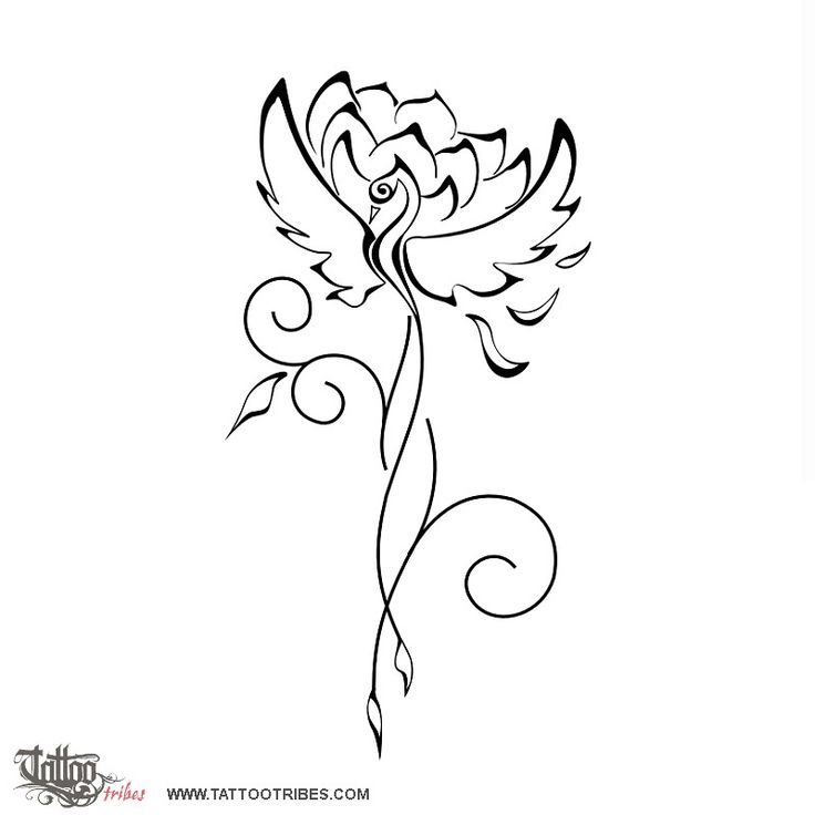 Lotus And Phoenix Tattoo I Will Bloom From Mud And Rise From Ashes