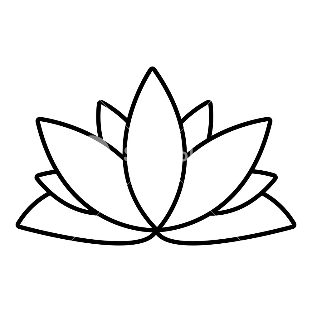 Lotus Flower Outline Drawing: Easy Guide for Beginners