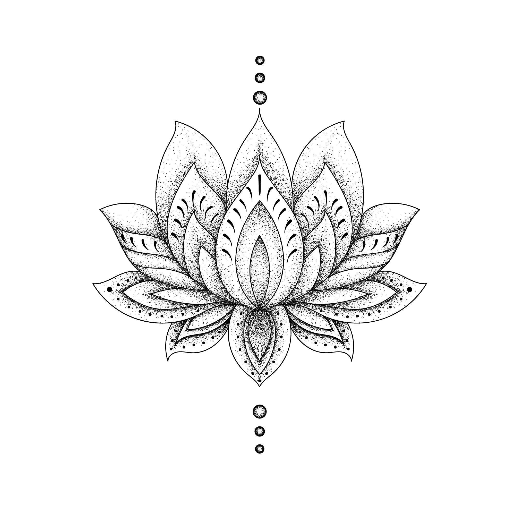 7 Stunning Lotus Flower Tattoo Drawing Ideas