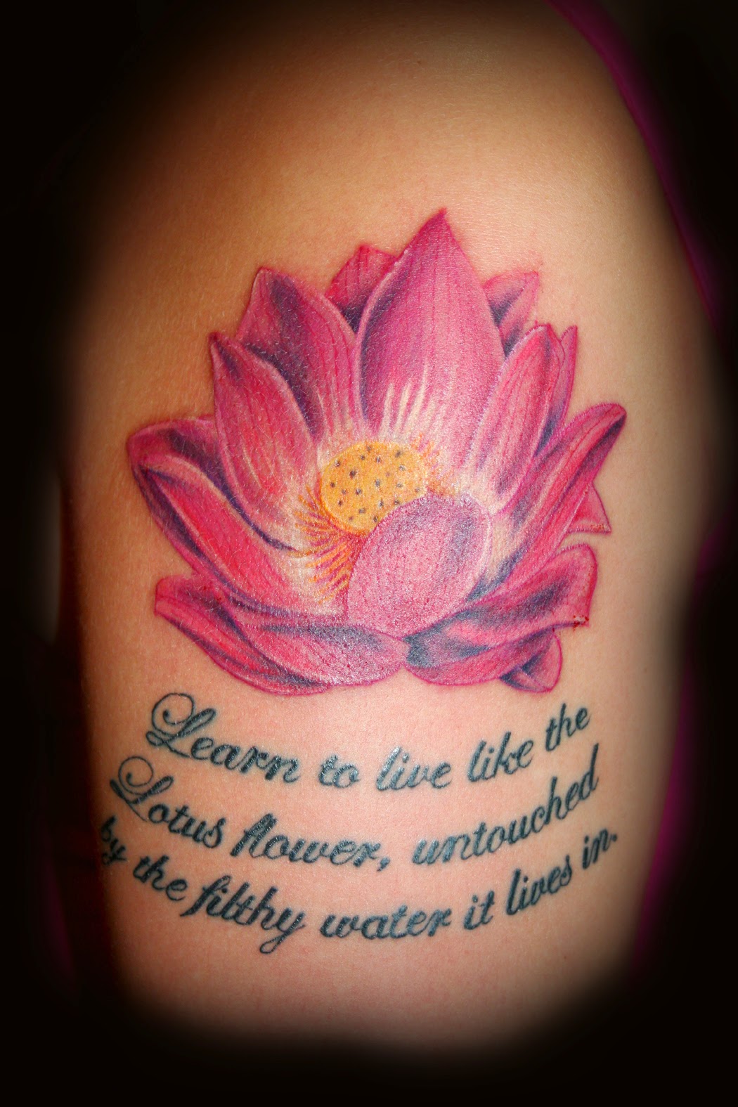 Lotus Flower Vine Tattoo Designs Best Flower Site