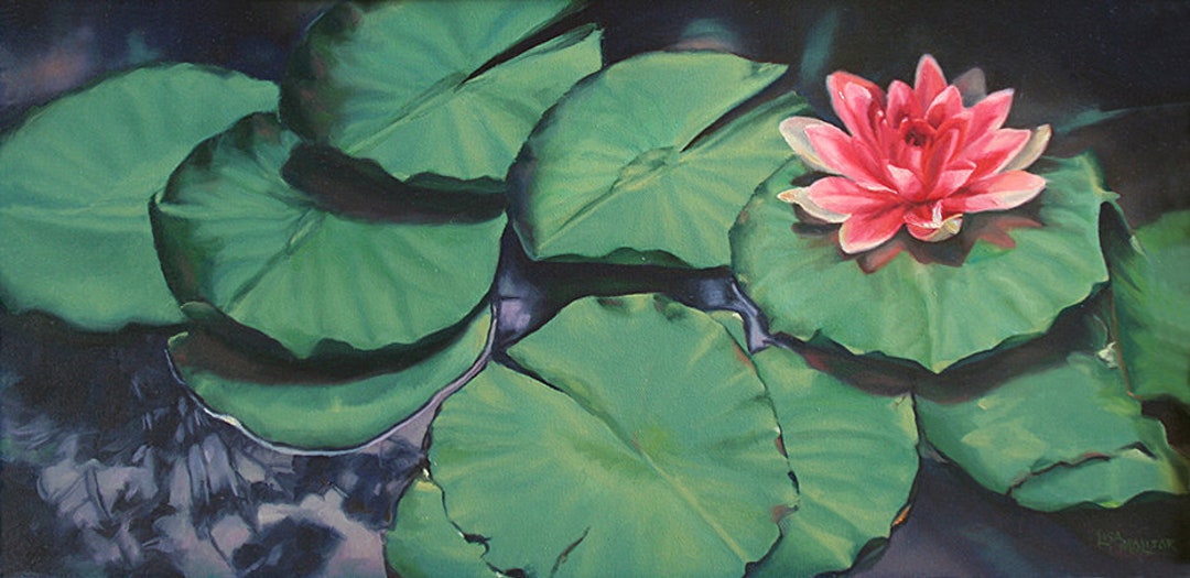 Lotus Lily Pads Flower Aceo 3 99 Pencil Drawings Beautiful Flower