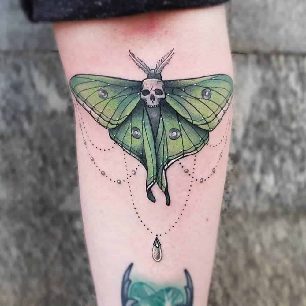 Luna Moth Moth Tattoo Design Lunar Moth Tattoo Luna Moth Tattoo