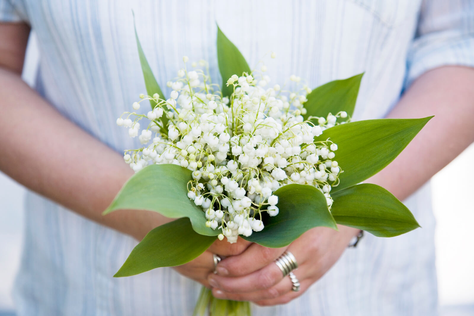 May Birth Flowers Meanings Lily Of The Valley Hawthorn