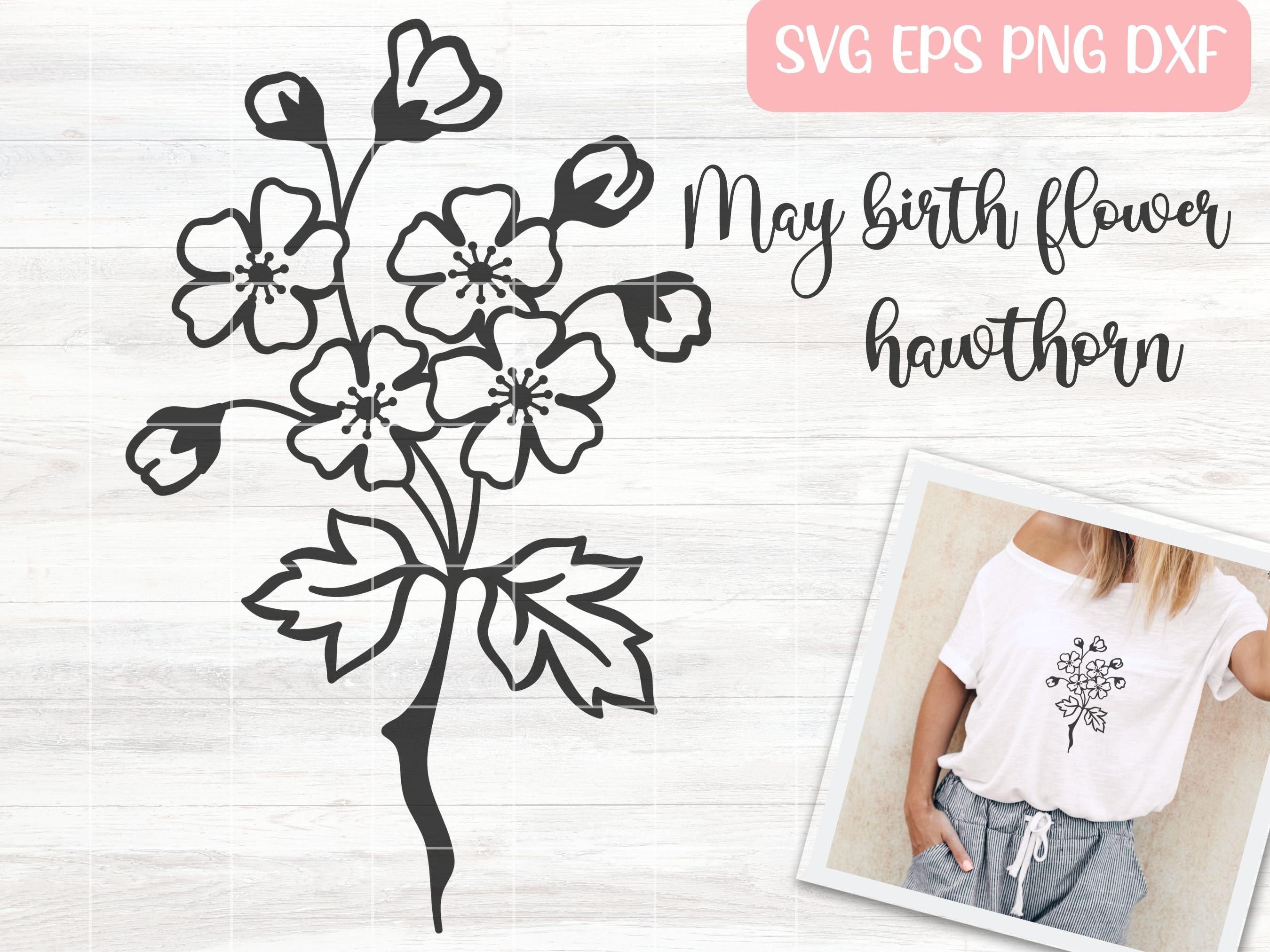 May Birth Month Flower Hawthorn Flower Svg Bundle