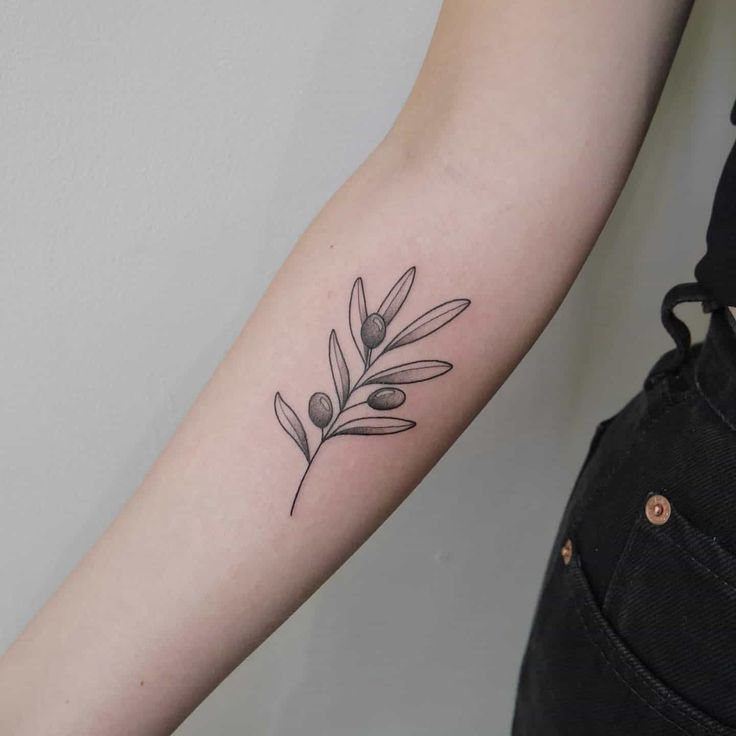 The Symbolic Olive Branch Tattoo: Meaning and Impact