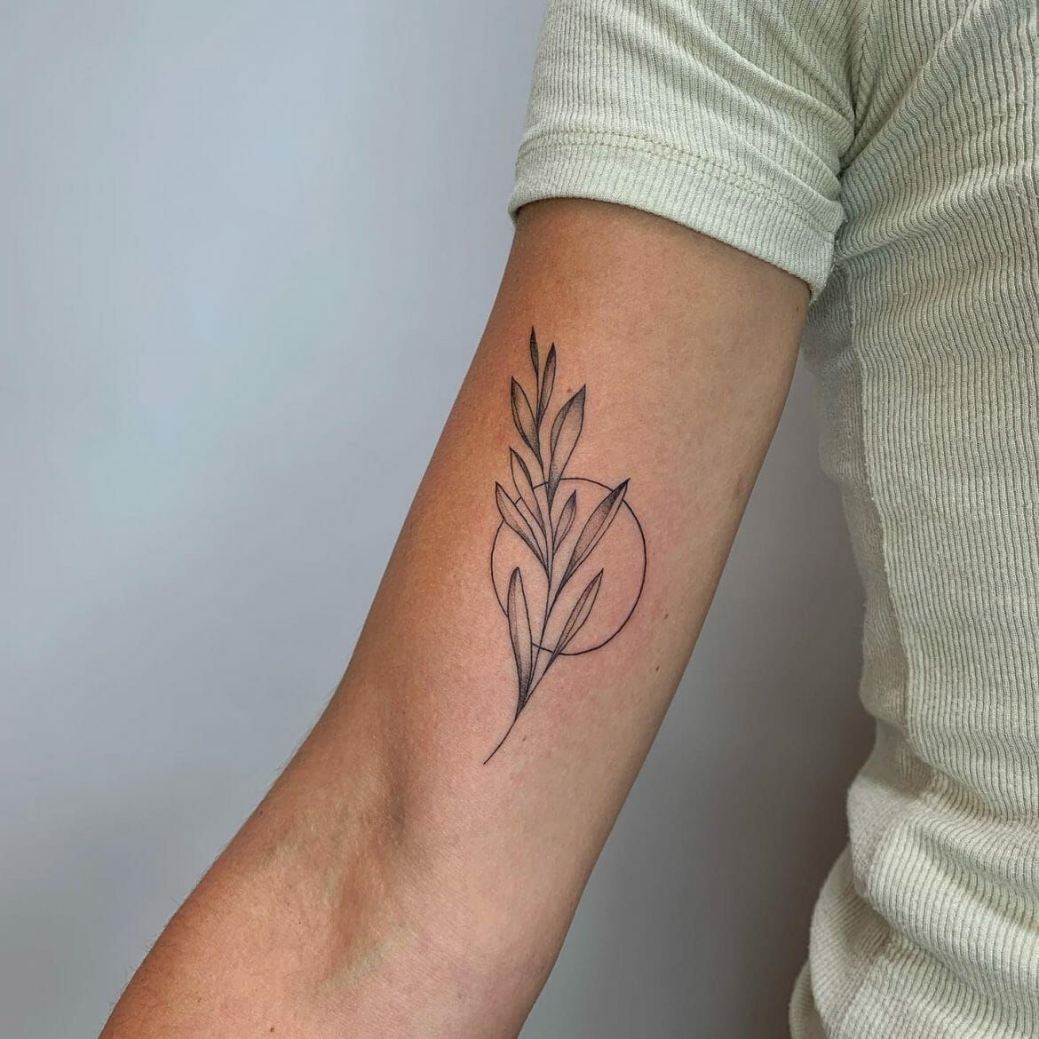 Minimalist Olive Branch Tattoos 2 Olive Branch Tattoo Olive Tattoo