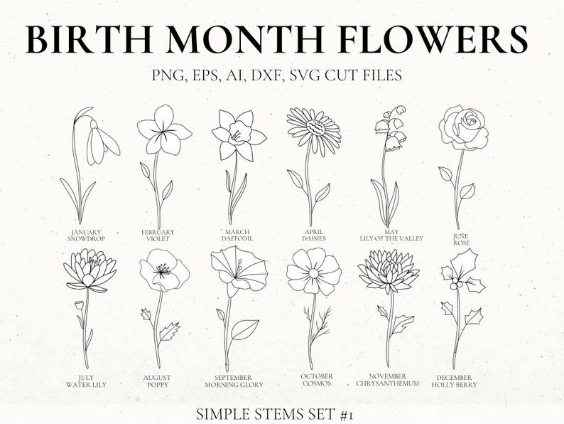 Month Of May Flower Drawings