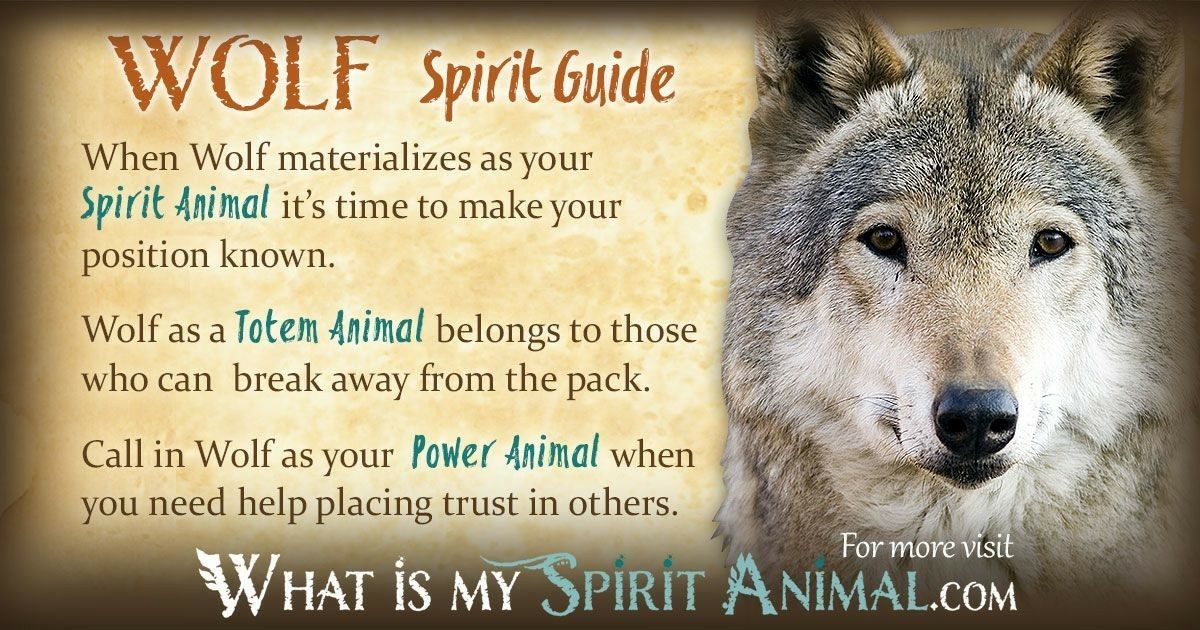 Native American Wolf Symbol Meaning