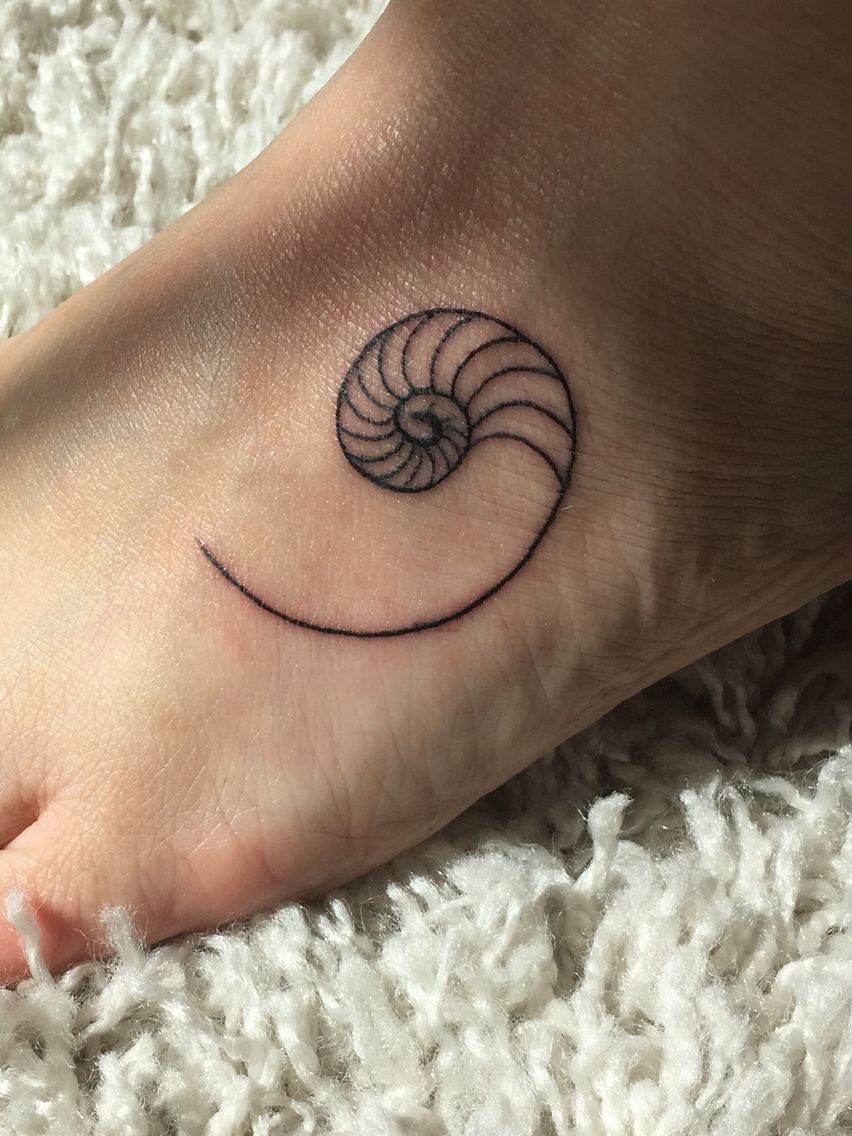 Nautilus Shell Tattoo