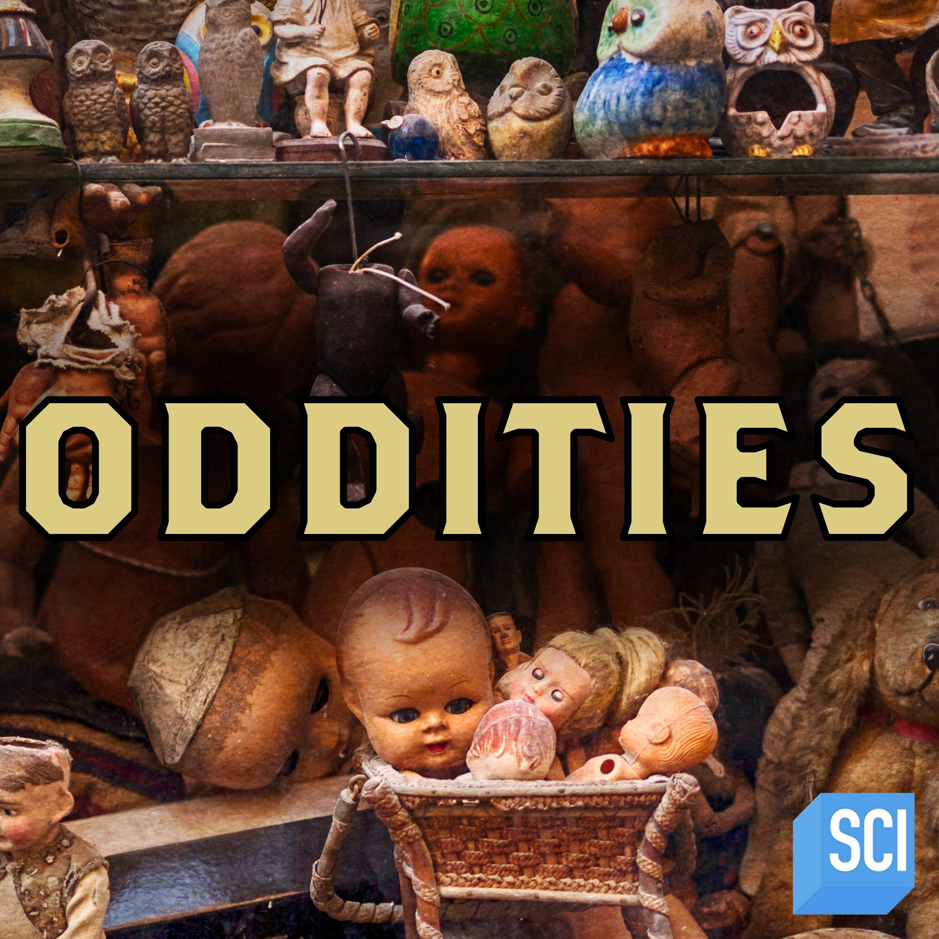 Oddities Etsy