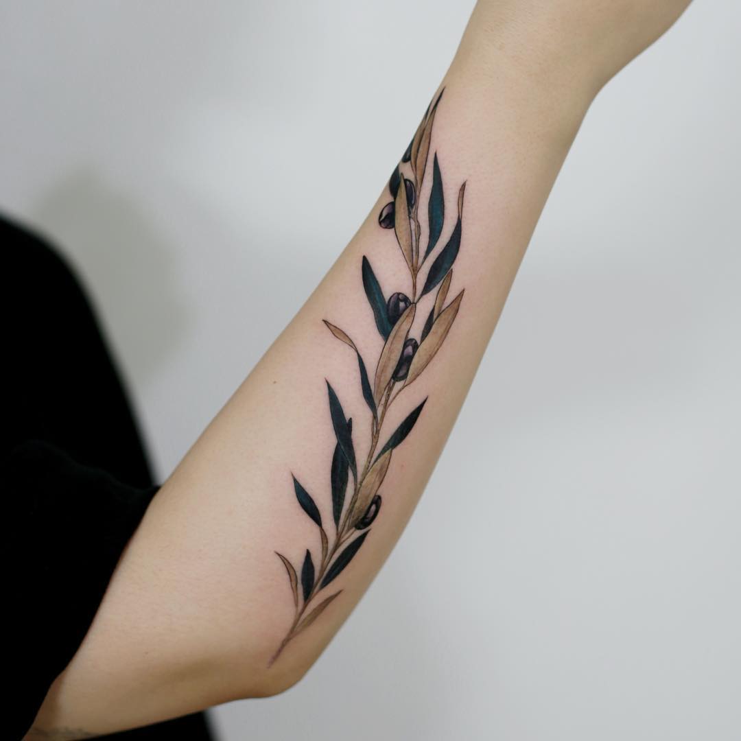 7 Olive Branch Tattoo Meanings and Designs