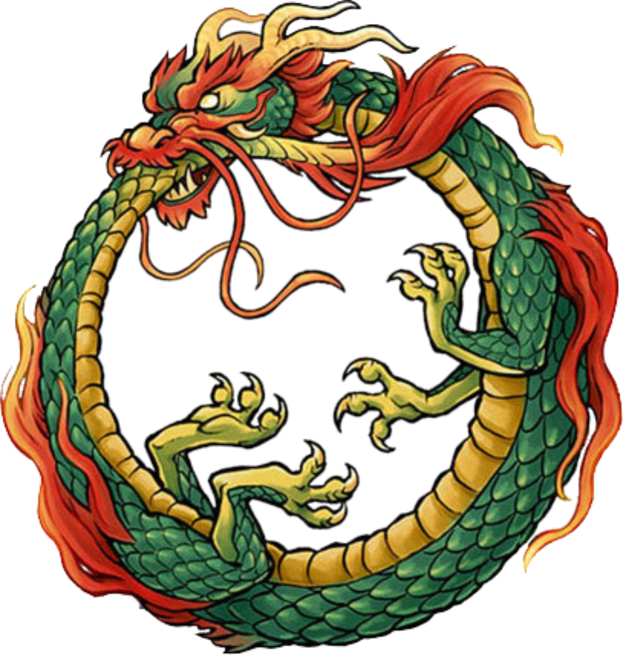 Ouroboros Dragon