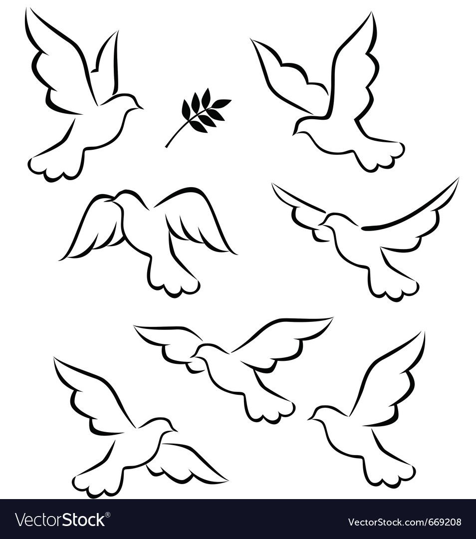 Dove Tattoo Outline: Ideas for Your Next Ink