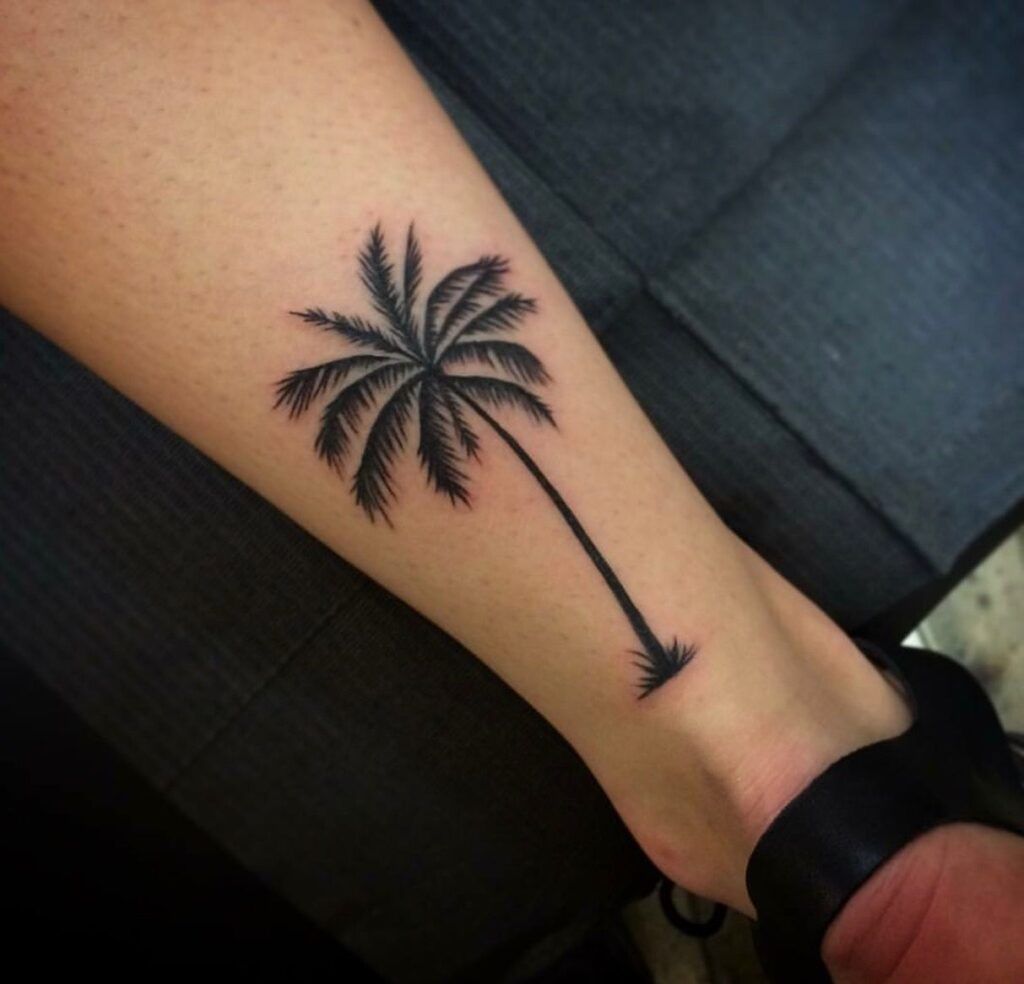 Palm Tree Tattoo On Ankle 3 Tree Tattoo Meaning Tree Tattoo Men Tree