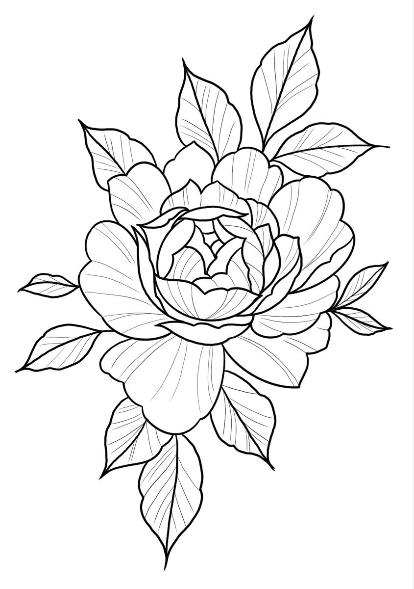 Peonies Floral Tattoo Stencil Japanese Flower Tattoo Tattoo Art Drawings Tattoo Stencils