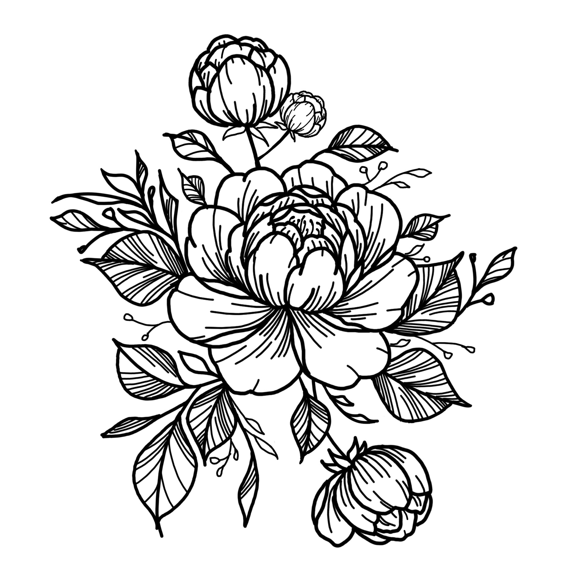 Peony Tattoo Stencil Peony Tattoo Desig Illustration Par Tattooworker Creative Fabrica