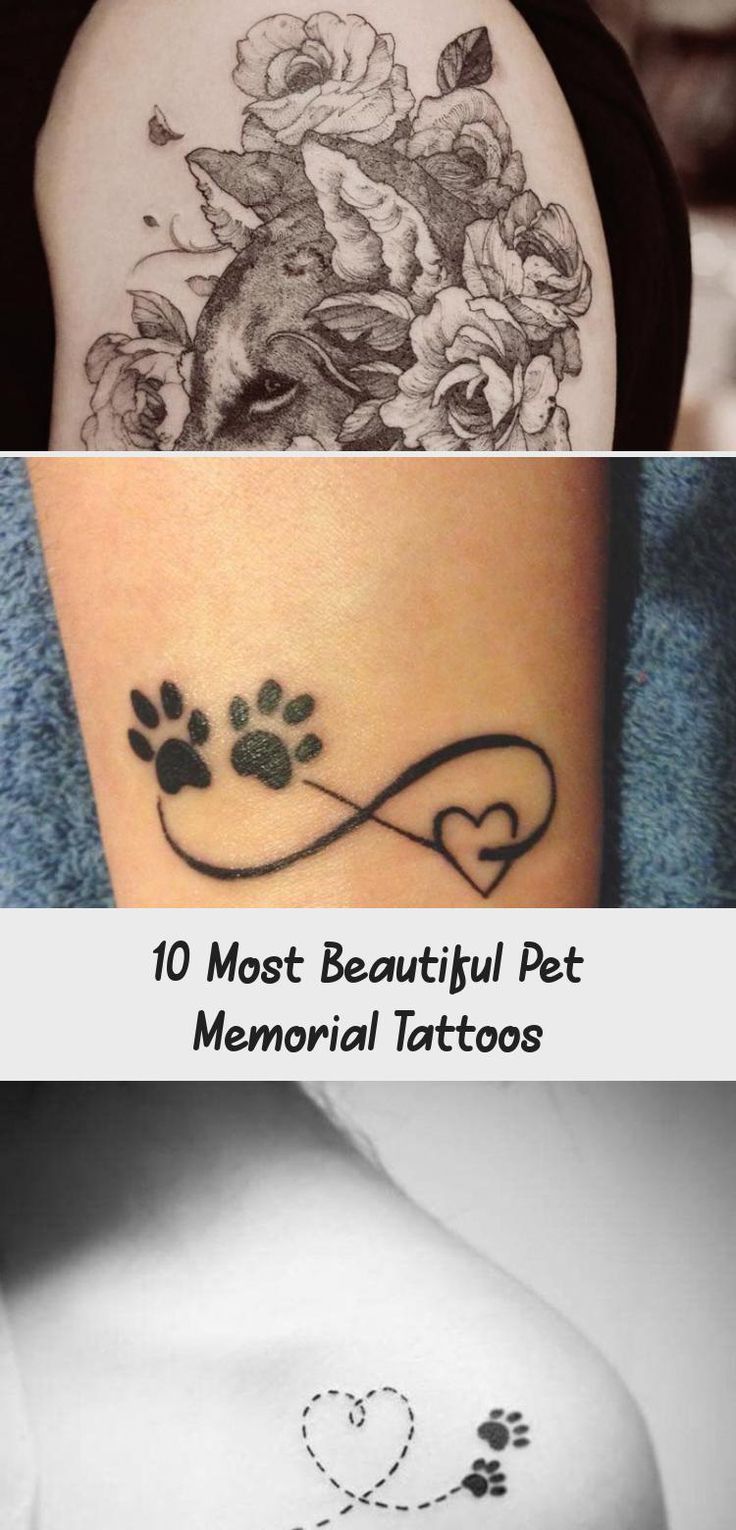 Pet Memorial Tattoos Tattoo Ideas Artists And Models Tribal Tattoos