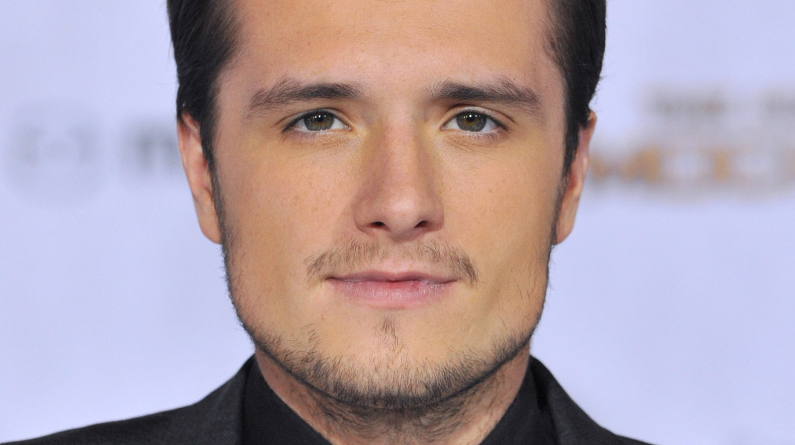 Pin By Pamela Bene Ov On Hunger Games Josh Hutcherson Josh