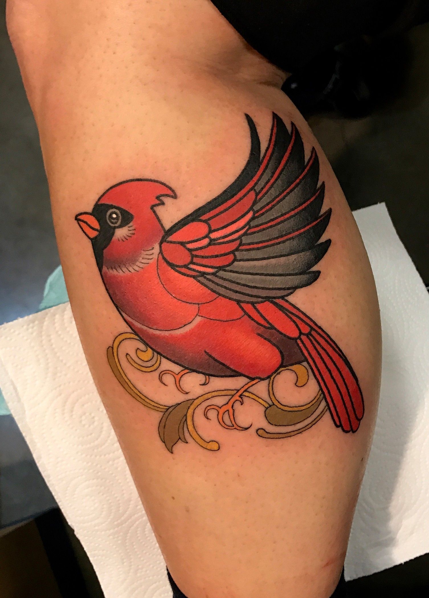 Pin By Stephanie Reber On Tattoo Ideas Tattoos Cardinal Tattoos