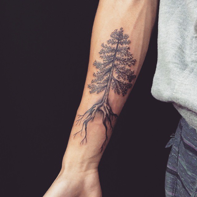 5 Meanings Behind Pine Tree Forearm Tattoos