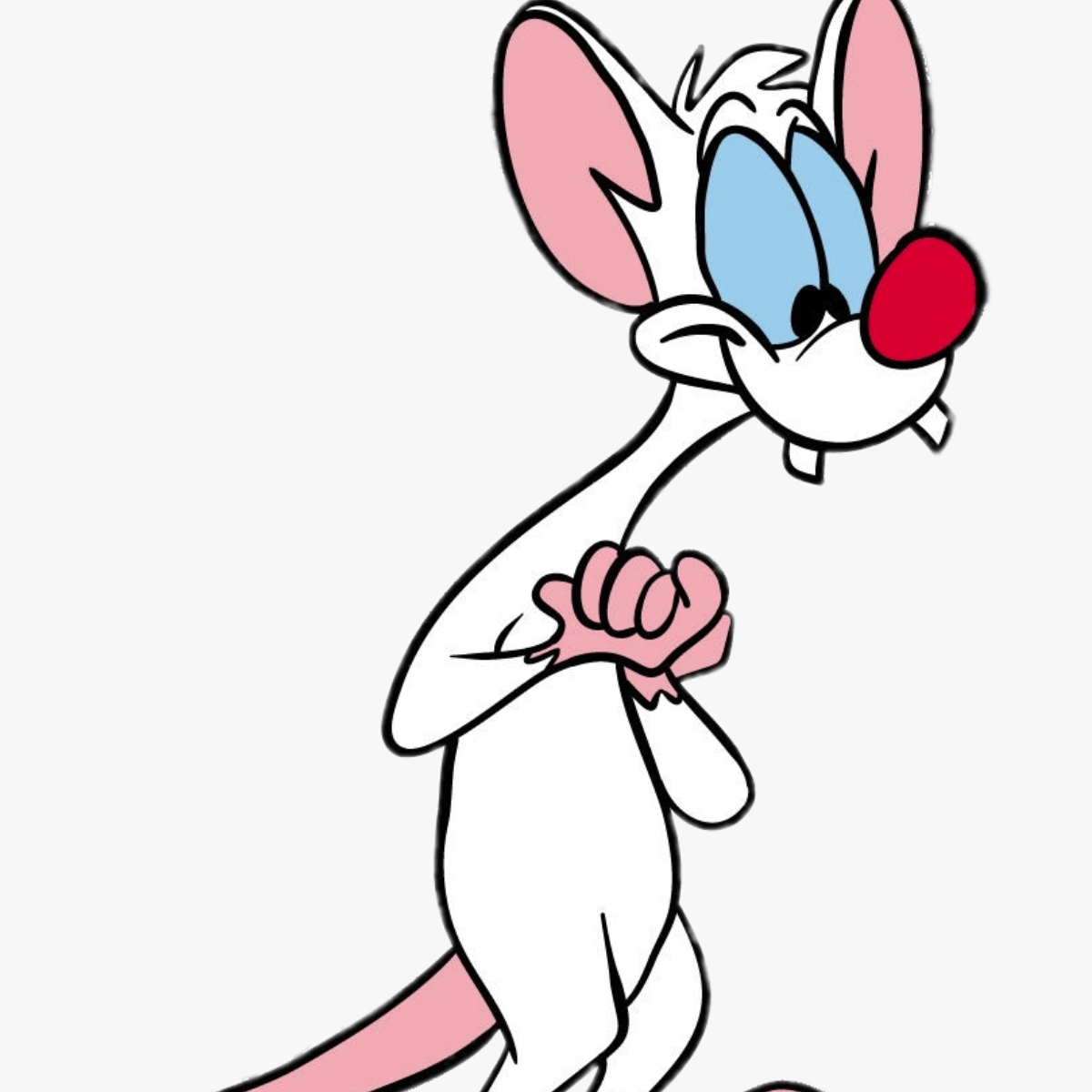 Pinky And The Brain By Imagine That Download Free Stl Model