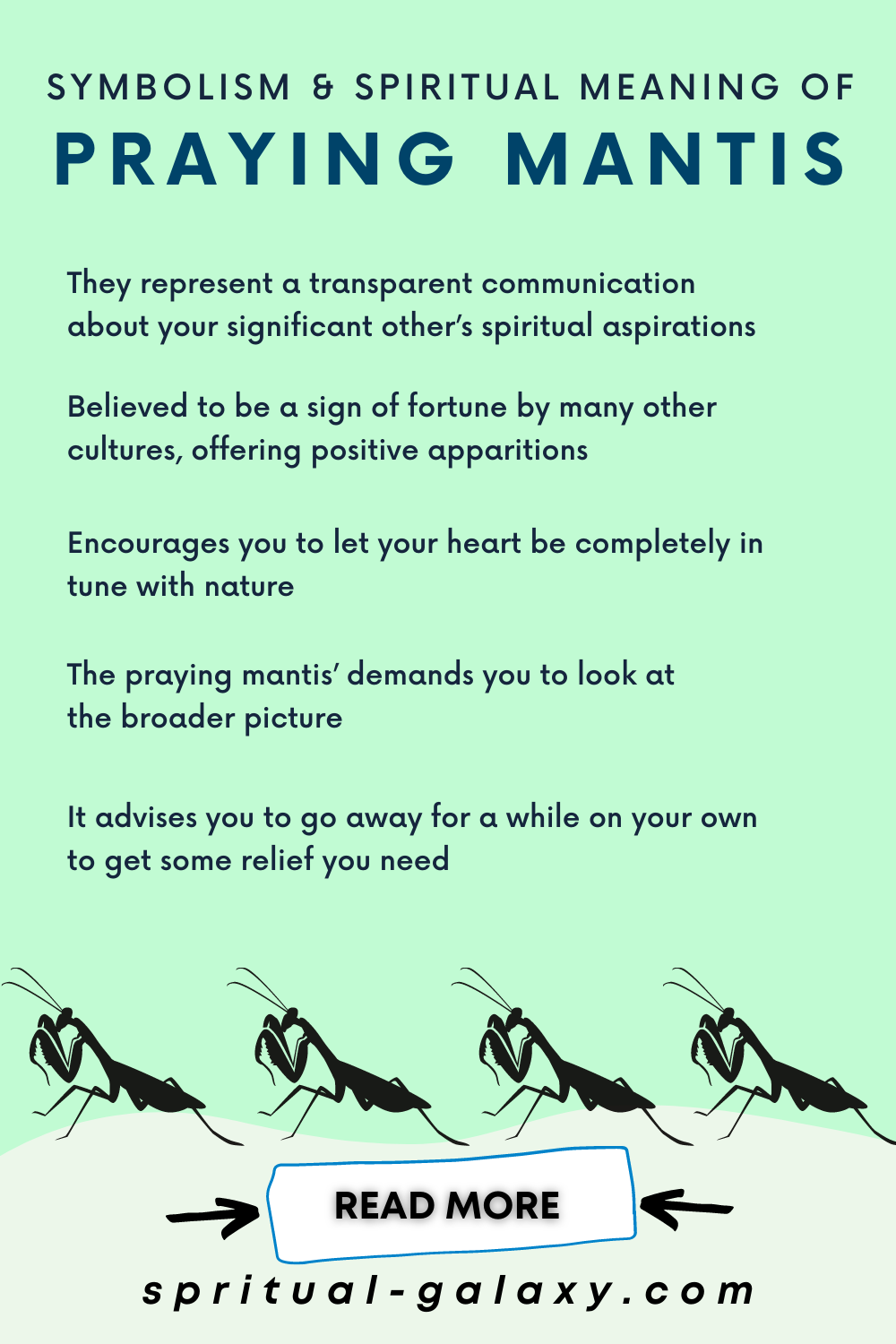 Praying Mantis Spiritual Meaning Symbolism And Totem 2024