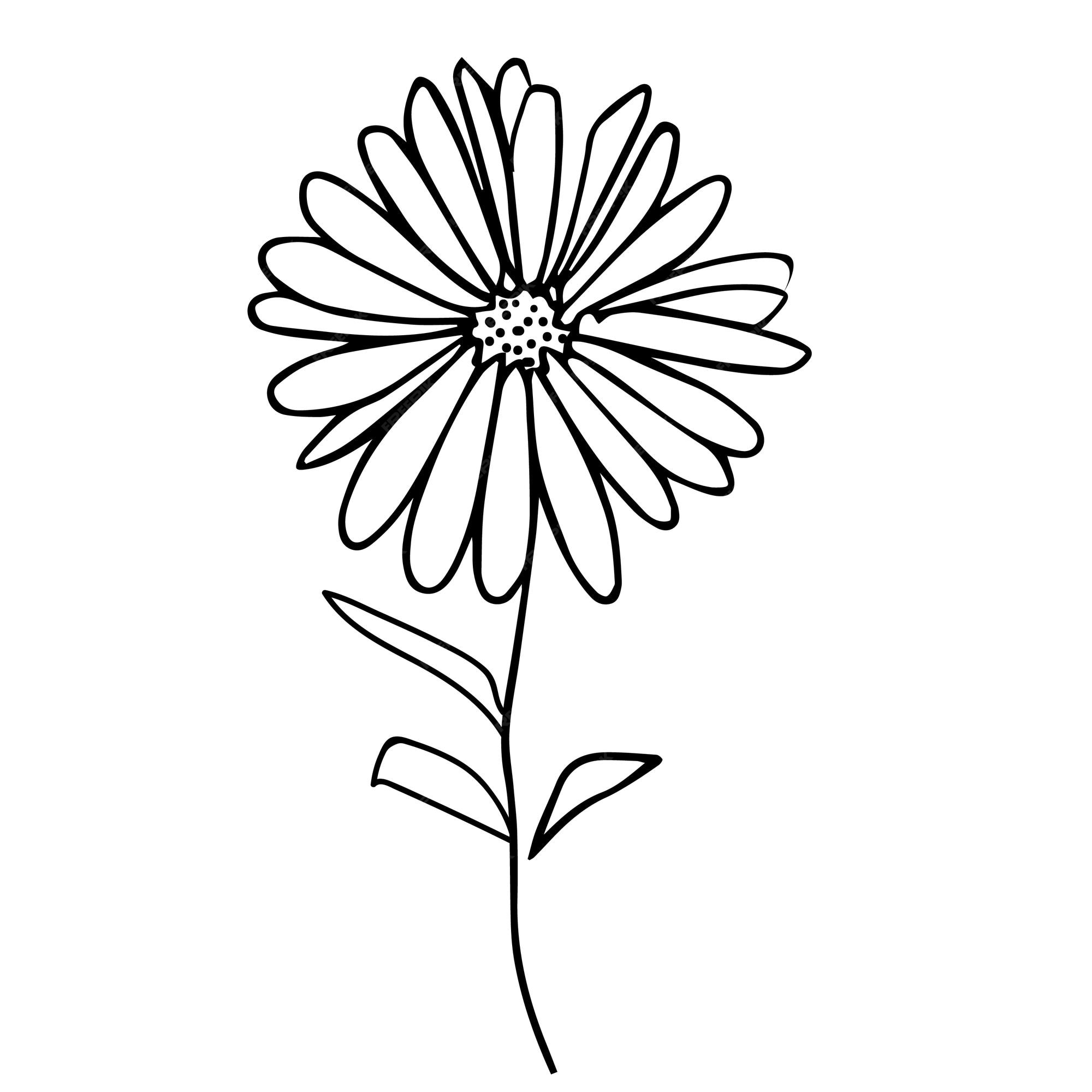 Premium Vector Simple Aster Flower Oneline Drawing Aster Flower