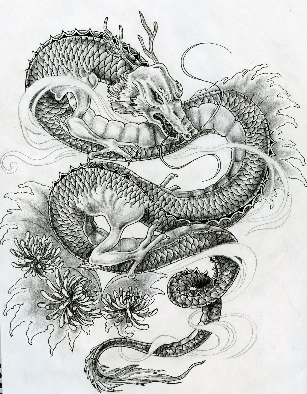 Premium Vector Traditional Chinese Dragon For Tattoo Design